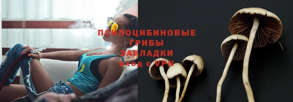 соль курить ск Вяземский
