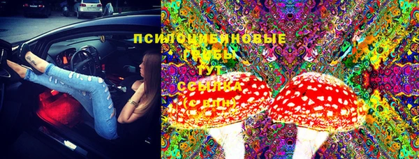 гашик Вязьма