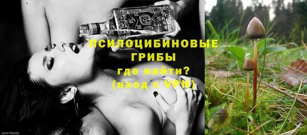 соль ск Волосово