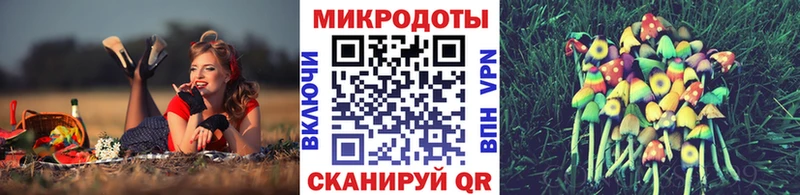 Псилоцибиновые грибы Psilocybe  наркотики  mega зеркало  Калач 