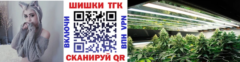 Конопля гибрид  Калач 